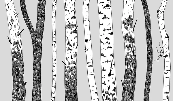 Arbres bordure répétée sur gris — Image vectorielle