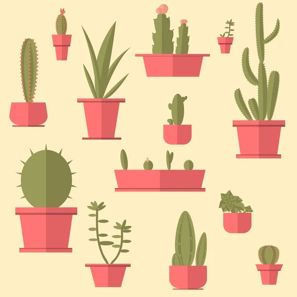 Succulents dans des pots ensemble — Image vectorielle