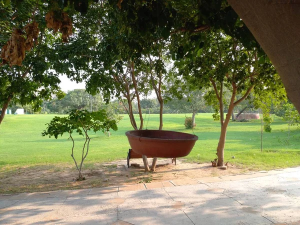 Δοχείο Νερού Του Πουλιού Κρέμεται Κάτω Από Δέντρο Τζαϊπούρ Ραζαστάν — Φωτογραφία Αρχείου