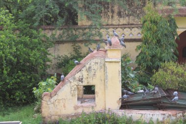 Gatore ki chhatriyan Jaipur, Rajasthan, Hindistan 'da yer almaktadır.