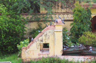 Gatore ki chhatriyan, Hindistan 'ın Jaipur şehrinde yer almaktadır. 