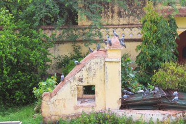 Gatore ki chhatriyan, Hindistan 'ın Jaipur şehrinde yer almaktadır. 