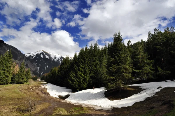 Paisaje en las montañas Tian Shan — Foto de Stock