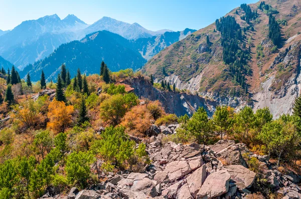 Landscape in the mauntains Tian Shan — Stock Photo, Image