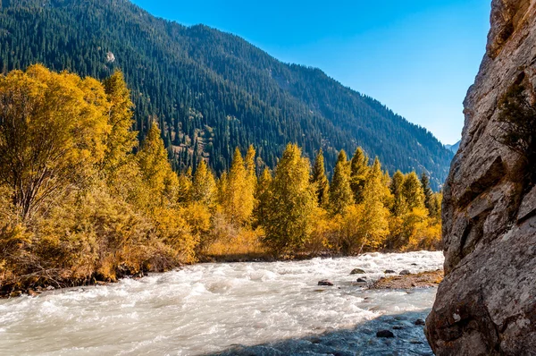 Río de montaña, Otoño — Foto de Stock