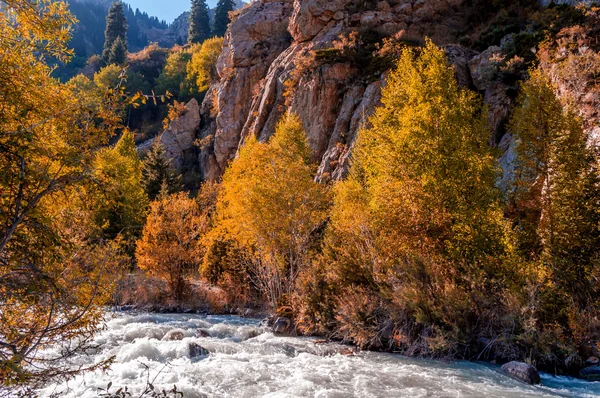 Mountain river, Autumn — Stock Photo, Image