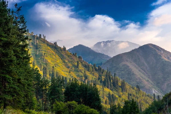 Landscape in the mauntains, Tian Shan — Stock Photo, Image