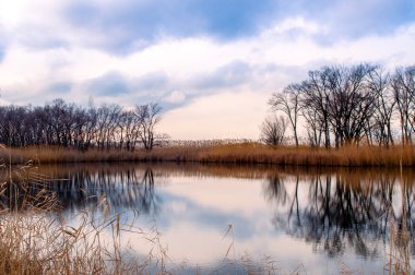 Göl ile kırsal manzara