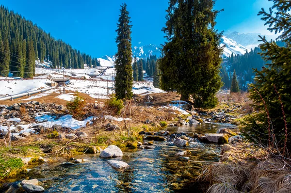 Mountain river — Stock Photo, Image