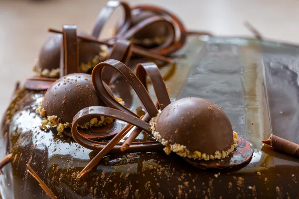 Čokoládový dort s ořechy — Stock fotografie
