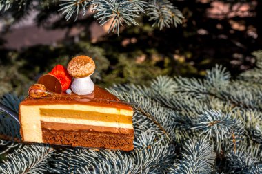 Beze mantar ve physalis zemin üzerine Mavi Ladin (Colorado Ladin) ile çikolatalı kek dekore