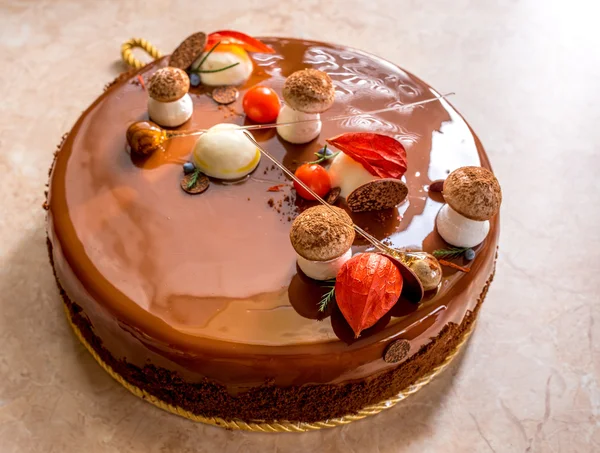 Čokoládový dort s meringue hub a physalis — Stock fotografie