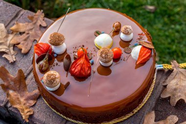 Beze mantar ve physalis çim zemin üzerine çikolatalı kek dekore