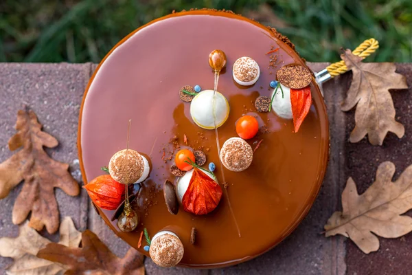 Čokoládový dort s meringue hub a physalis na sněhová vločka — Stock fotografie