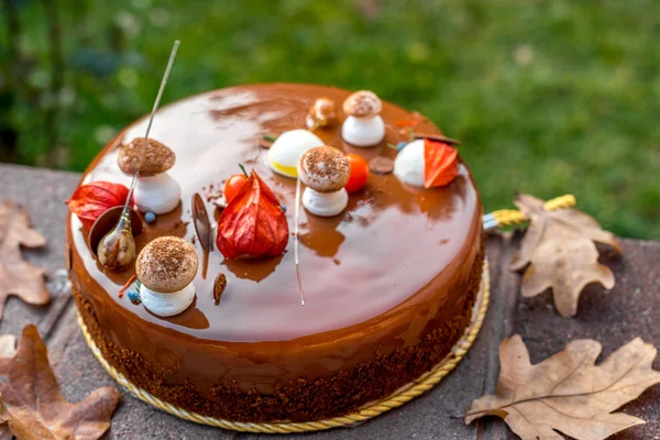 Bolo de chocolate decorado com cogumelos merengue e physalis no fundo da grama — Fotografia de Stock