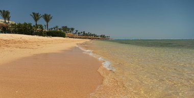 Yazın ya da bahar mevsiminde güneşli bir günde, Mısır kıyılarında mercan resifleri olan kumsal. Tatil için mükemmel. Arka planda palmiye ağaçları ve güneş şemsiyeleri görülüyor. Temiz şeffaf su