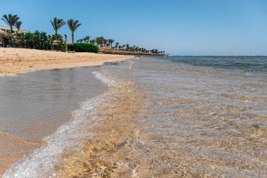 Mısır 'da kumsalda güneşli bir gün. Plaj, deniz ve resif. Avuç içi ve güneş şemsiyeli arka plan. Gökyüzü mavi ve su berrak ve şeffaf. 