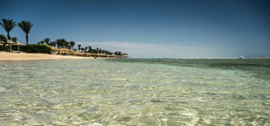 Güneşli yaz ve bahar günlerinde Mısır 'da deniz manzarası çok güzeldir. Su trakentlidir. Mercan resifi yakınlarda. Kumsal, palmiye ağaçları ve arka planda güneş şemsiyeleri.. 