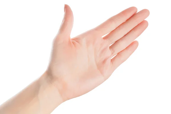 Açık kadın el izole