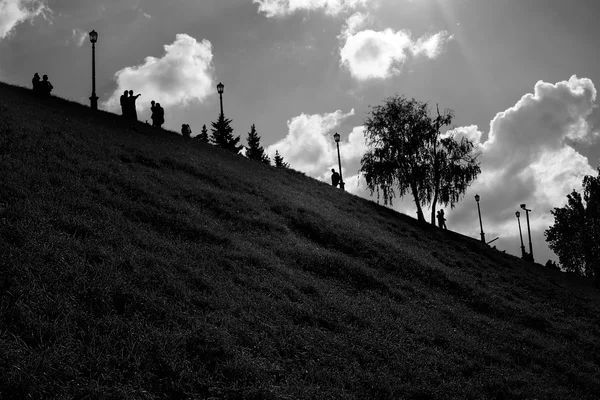 Låg nyckel sommarlandskap park — Stockfoto