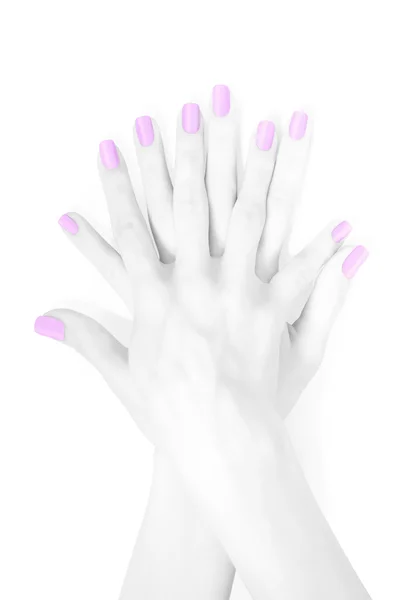 Black and white hands with violet manicure. — Stock Photo, Image