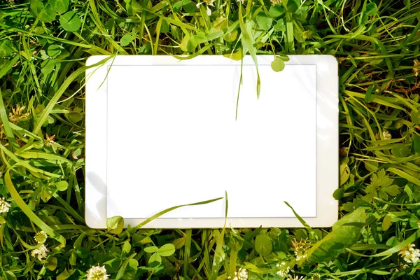 平板电脑在绿色的香草 — 图库照片