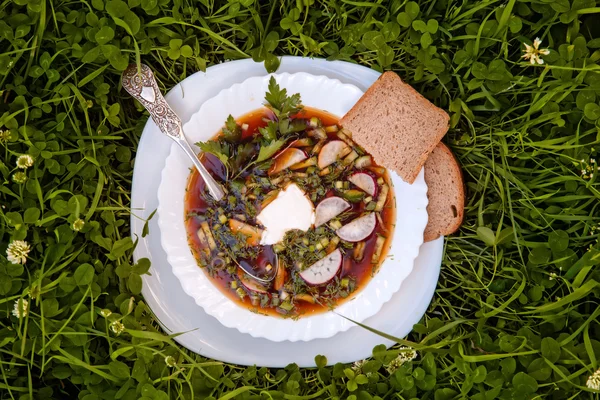 a bowl of soup in the grass