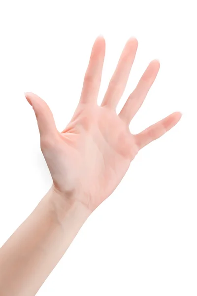 Üres nyitott nő kéz — Stock Fotó