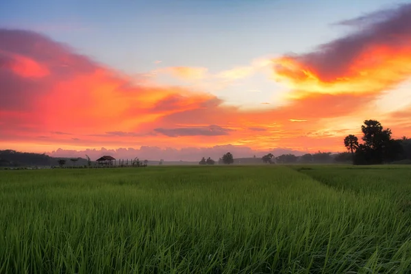 Szene Eines Wunderschönen Sonnenaufgangs Morgen Himmel Hintergrund Und Sonnenlicht Morgen — Stockfoto