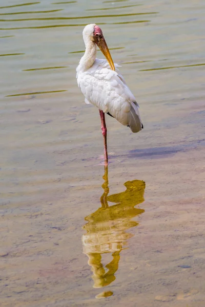 Riverside'da daha az emir subayı