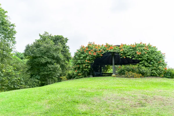 Singapur Botanik Bahçe alanı