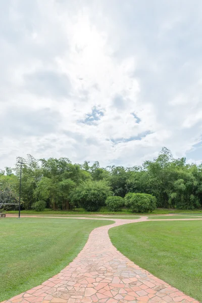 Singapur Botanik Bahçesi