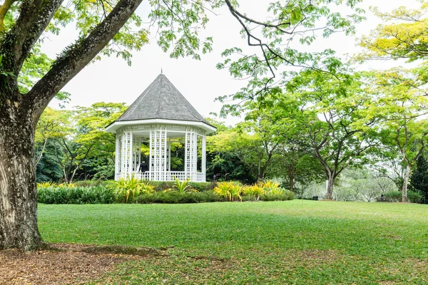 Singapur Botanik Bahçesi