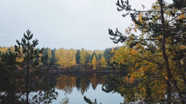 Осінні Дерева Гілки Озеро Посеред Лісу — стокове фото