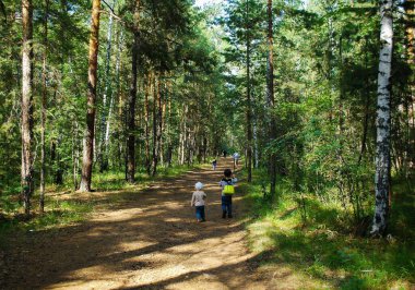 Chelyabinsk, Rusya - 24 Temmuz 2021. Chelyabinsk şehir ormanı. Çocuklar orman yolu boyunca ebeveynlerini takip ederler.
