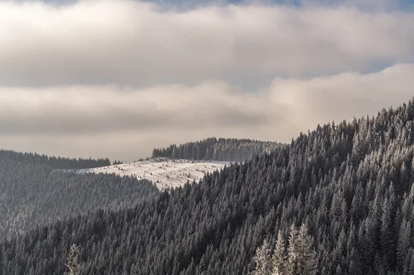 Mountains with forests on hills — Stock Photo, Image