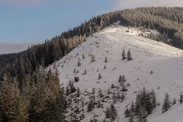 Snowy mountain spine — Stock Photo, Image