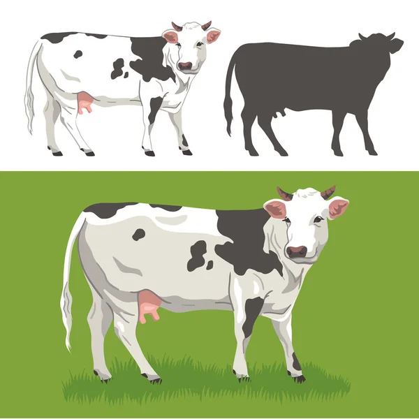 Ilustración Vectorial Una Vaca Blanca Negra Que Está Pie Sobre — Archivo Imágenes Vectoriales