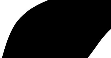 Çerçeve geçiş vektörü canlandırması kümesi