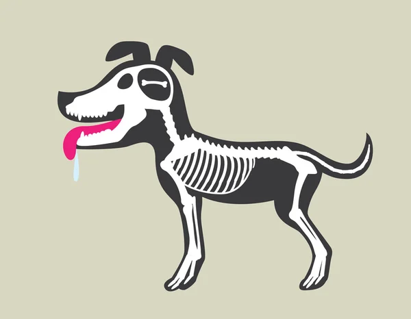 Beenmerg hond. — Stockvector