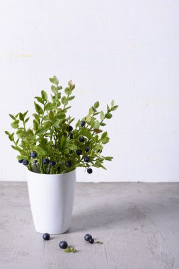 Taze organik yabani çilek, orman yaban mersini bush beyaz Kupası'nda. Uzay kopyalayın, yakın çekim. 