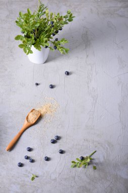Taze bluberries gri arka plan üzerinde şekerli. Tatlı tatlı maddeler berry, uzay kopyalayın, yukarıdan görüntülemek. 