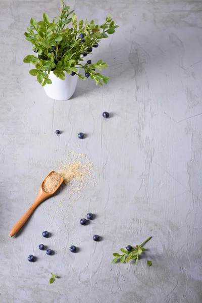 Taze bluberries gri arka plan üzerinde şekerli. Tatlı tatlı maddeler berry, uzay kopyalayın, yukarıdan görüntülemek. 
