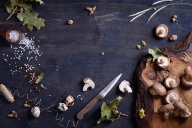 Taze mantar, otlar ve baharatlar. Sonbahar sezonu maddeler arka plan. Kopya alanı, üstten görünüm.
