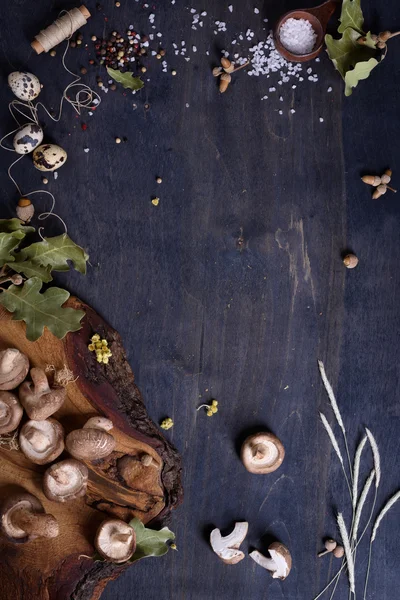 Cogumelos Shiitake ervas e especiarias. Ingredientes do menu. Preservações a fazer fundo. Vista superior, espaço de cópia . — Fotografia de Stock