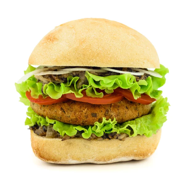 Hamburger geïsoleerd op wit — Stockfoto