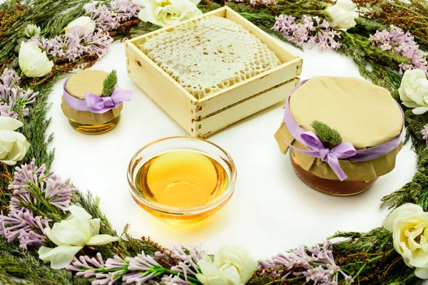 Miele in vasi e nido d'ape circondato da erbe e fiori, sfondo bianco . — Foto Stock