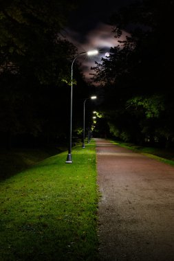 Gece, mehtaplı park sokak geçit şeritli yolda.