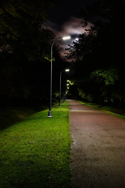 Gece, mehtaplı park sokak geçit şeritli yolda.