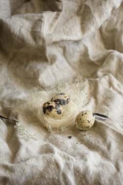 Çiftlik bıldırcın yumurtası rustik çuval bezi üzerinde bir kuş yuvada.